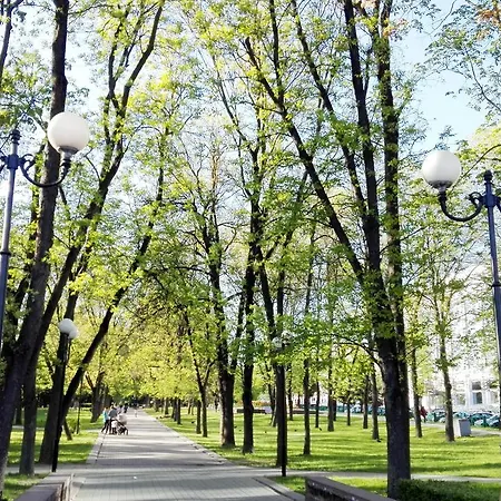 Апартаменты Studio On Park Chelyuskintsev