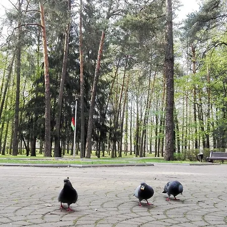 Studio On Park Chelyuskintsev * Минск